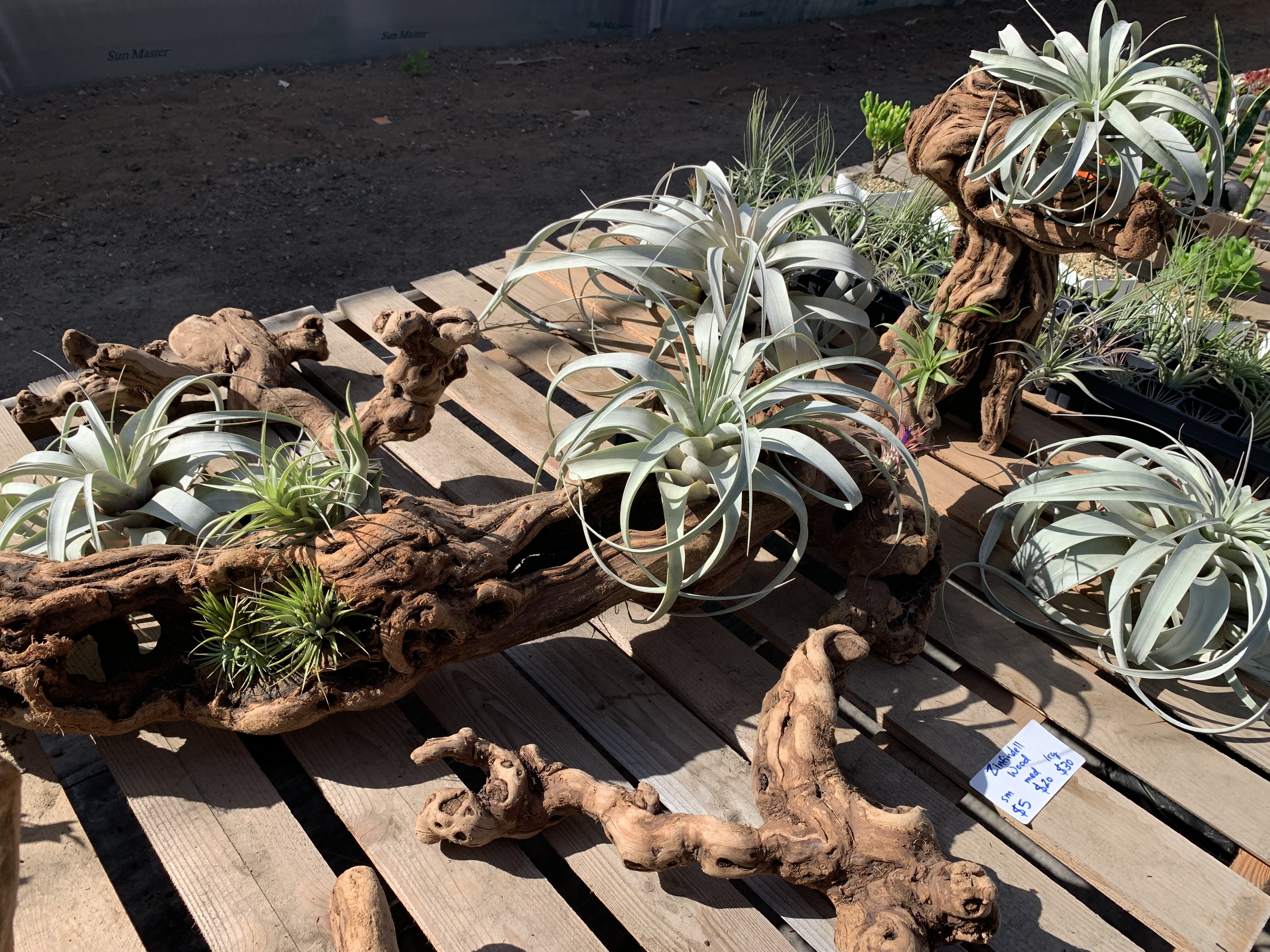 Coastal Paradise Nursery