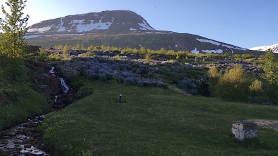 Photos of Tjaldst&aelig;&eth;i