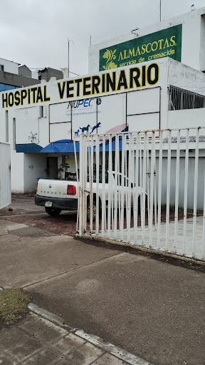 "ANIMAL FRIENDS" Servicio Integral Para Mascotas