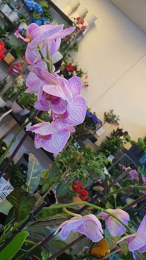 Interflora Södertälje