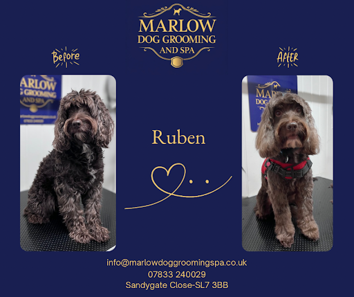 Marlow Dog Grooming and Spa