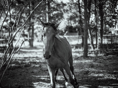 Jade Grima Photographe