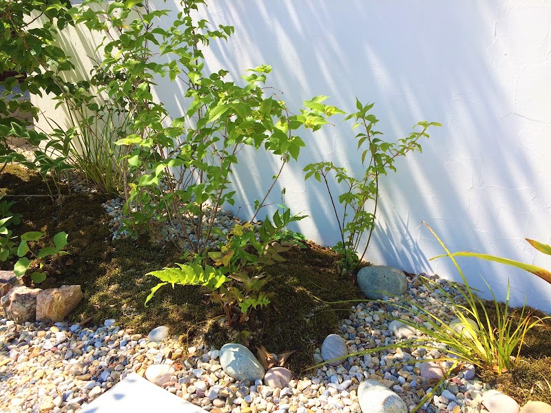 庭屋すぎ蔵