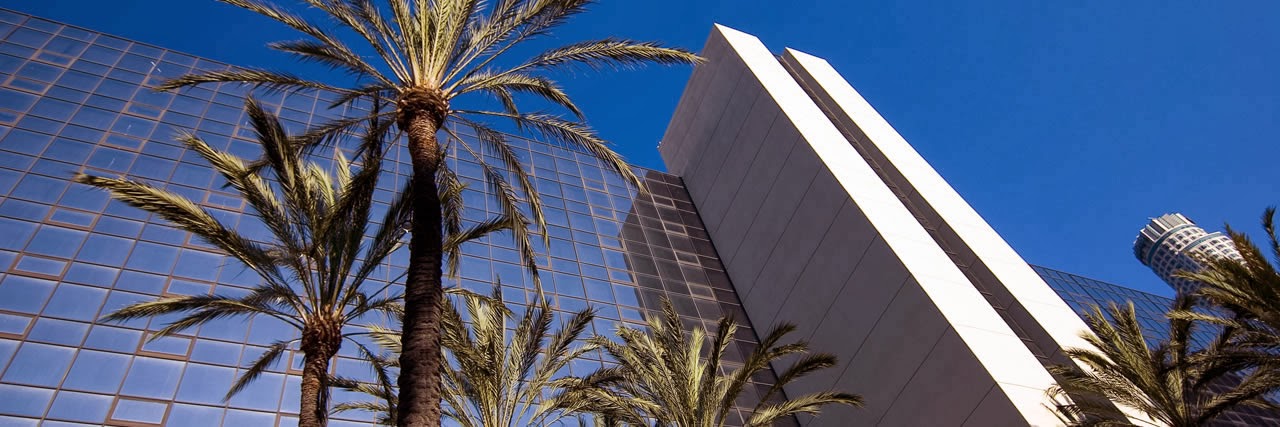 The L.A. Grand Hotel Downtown by null