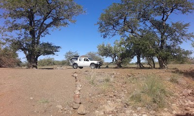 Photos of Palm Camp