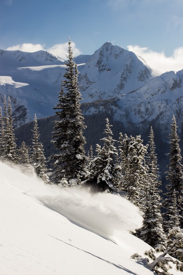 Whistler