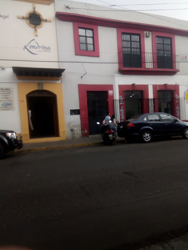 La abeja - Visual