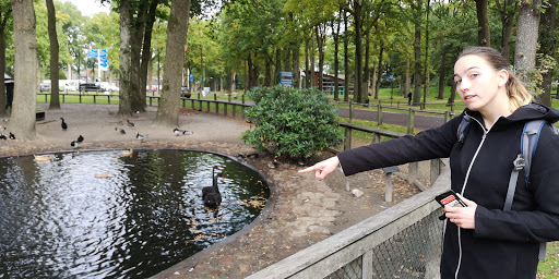 Eendenvijver Diever - Thumbnail