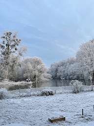 Photo n°40 de Restaurant 