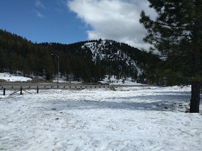 Public Sledding