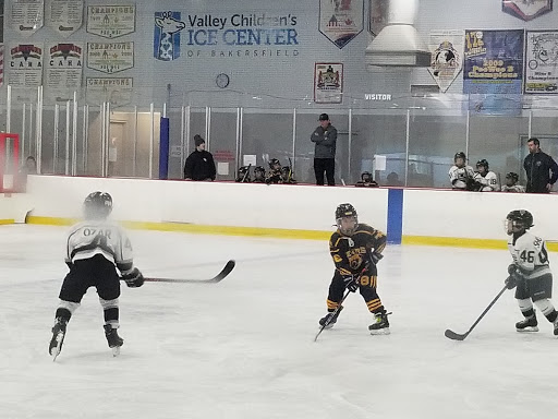 Valley Children's Ice Center of Bakersfield - Thumbnail
