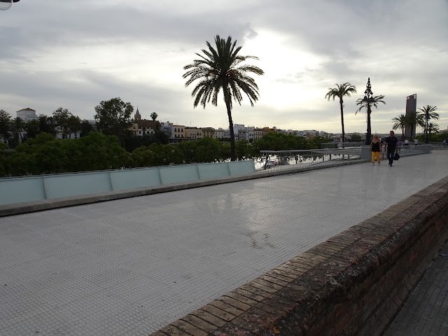 Paseo Colon (Torre del Oro)
