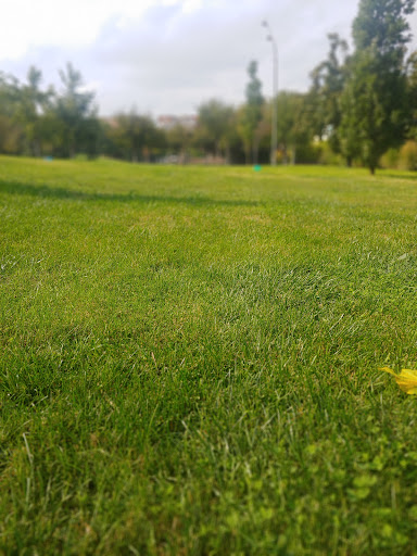 Parc de les Pruneres - Thumbnail