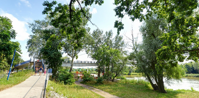 Odra-Pany Beach Bar - Bar