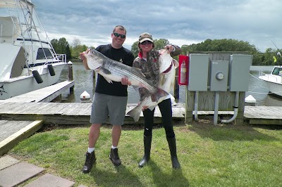 Dennis Point Marina & Campground