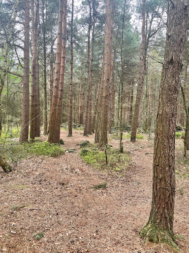 Blackhills Scout Campsite Gallery - United Kingdom