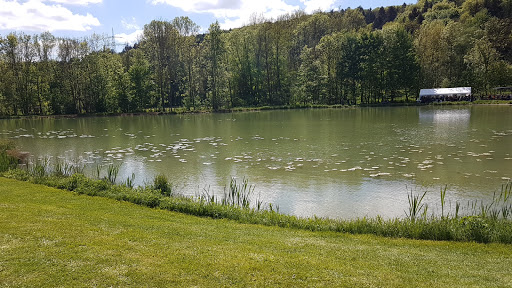 Grünsfelder See