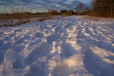 Doug Rayner Wildlife Refuge