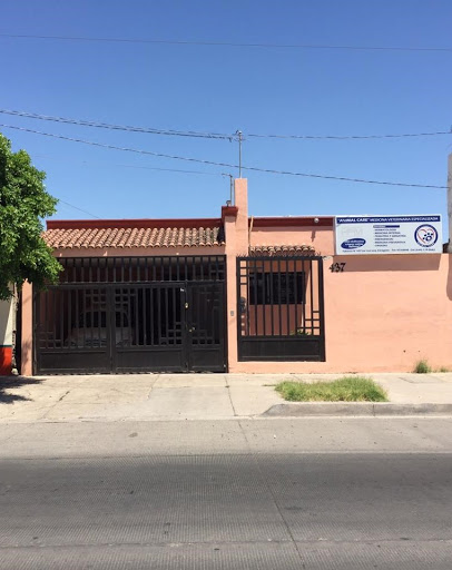 Animal Care Medicina Veterinaria Especializada