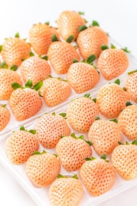 株式会社 イチゴラス