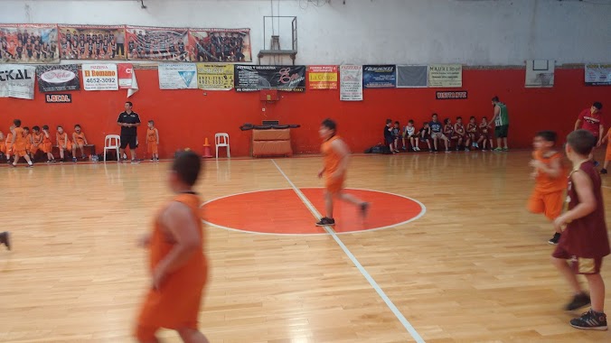 Crovara Basquet, Author: Dario Mariniello