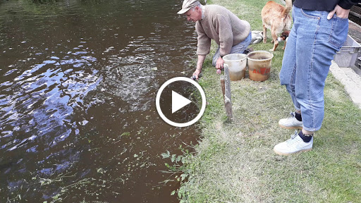 Photo de Domaine du Moulin Authier à Coussac-Bonneval (87500)