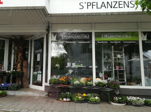 sPflanzenstüble