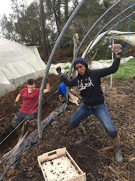 Photo n°6 de Biodivy à Le Tréhou (Ferme bio)