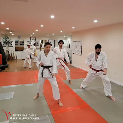 International Martial Arts Center - BJJ Gym in New York, New York