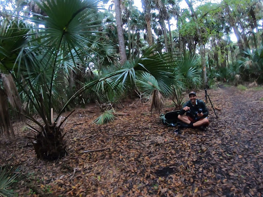 Florida Trail - Visual