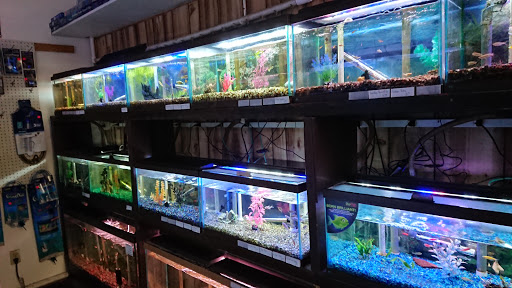 Aquatic Pets - Visual