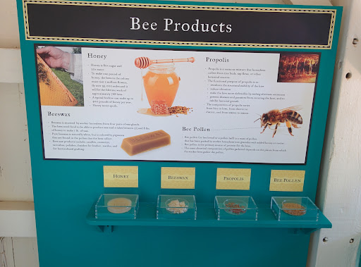 Beekeeping Exhibit - Visual