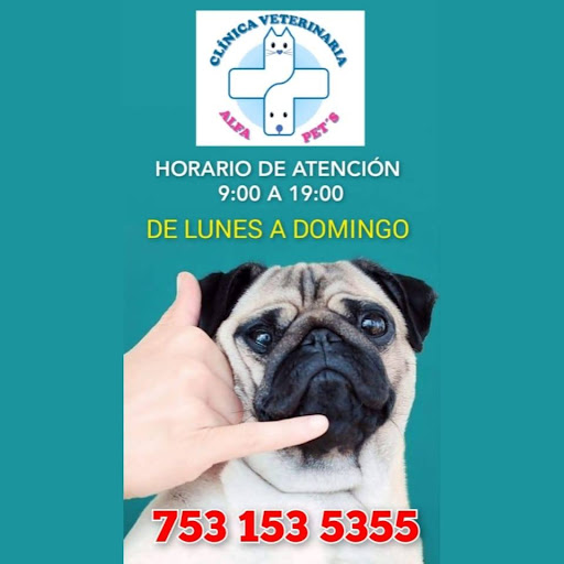 Estética Canina y Veterinaria Alfa Pet's