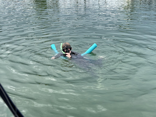 Fun 2 Dive - Swim with Manatees - Thumbnail