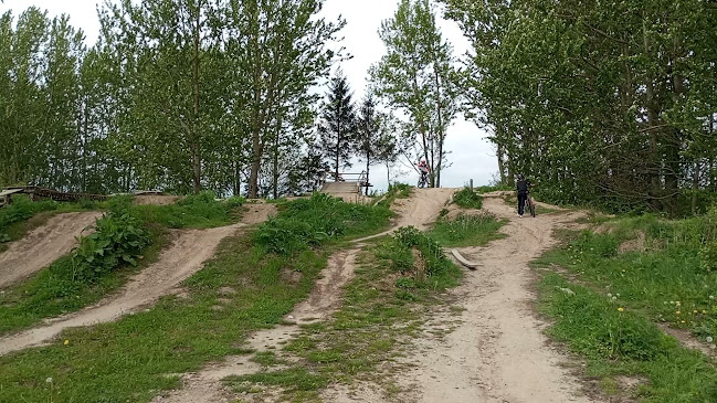Opinii despre Glamsdalens Bikepark în Assens - Træningscenter