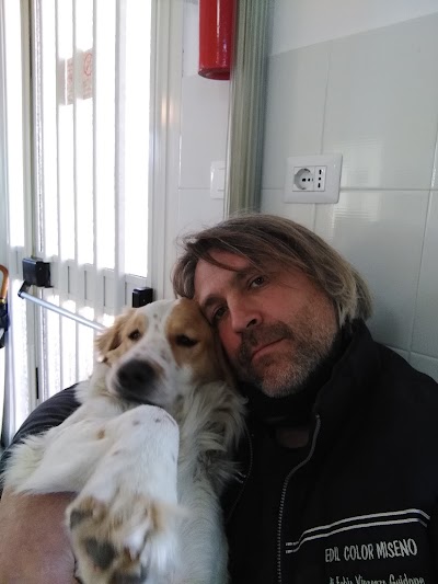 Photos of Lega Pro Animale