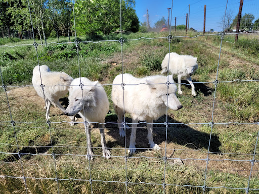 Wildtierpark Hohenbruch - Thumbnail