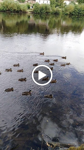 Photo de Résidence Les Briances à Linards (87130)
