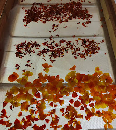 Photo n°77 de Mas de Jammes à Villeneuve (Hôtel bien-être)