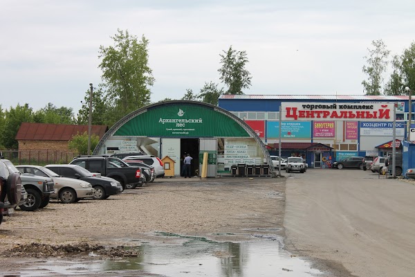 Первомайская база пенза. Архангельский лес Пенза. Архангельский лес Пенза перспективная улица. Магазин Архангельский лес Пенза. Архангельский лес Пенза ступени.