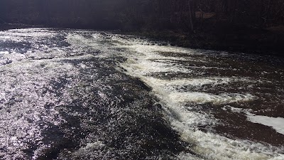 Photos of Abava nature