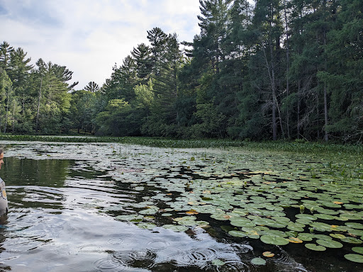 Brandy Lake Park - Thumbnail