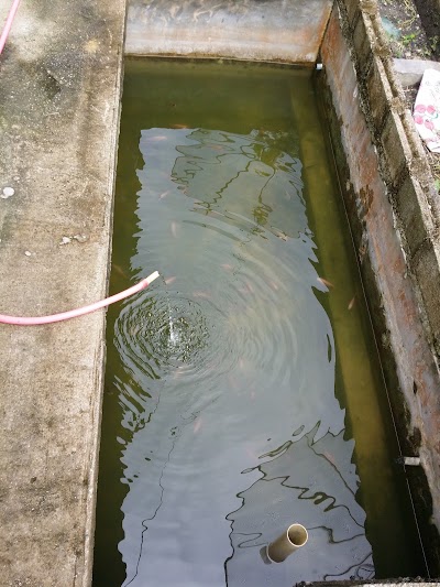 Photos of Pembenihan Upr Raja Ikan