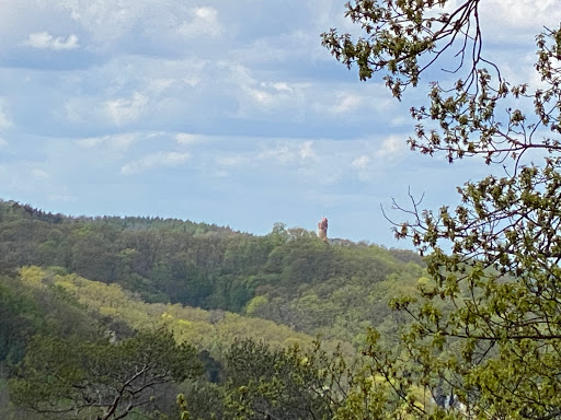 Thüringer Blick - Visual