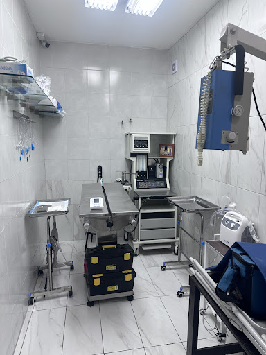 Veterinaria RAYO