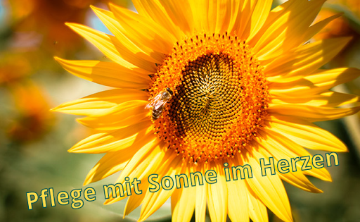 Sonne Pflegedienst Hamburg GmbH