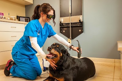 Photos of VCA Animal Hospital of Plainfield