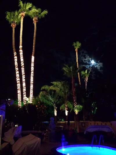 night-club