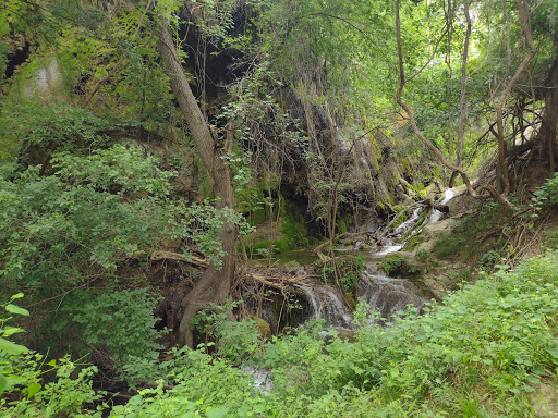 Gorman Falls - Visual