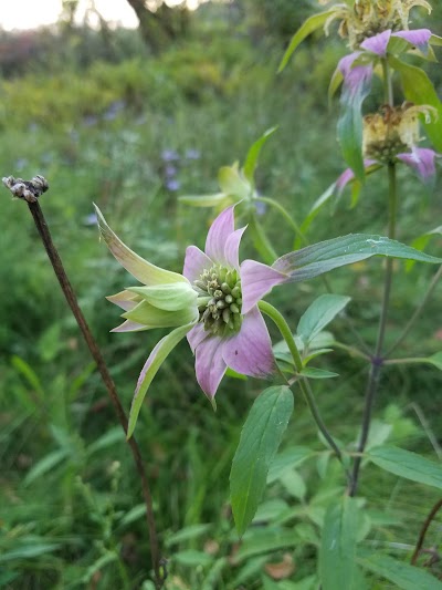 Sandra L. Frankel Nature Park